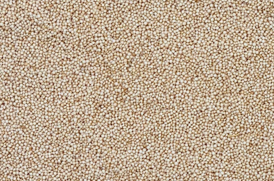 Amaranth and Barnyard